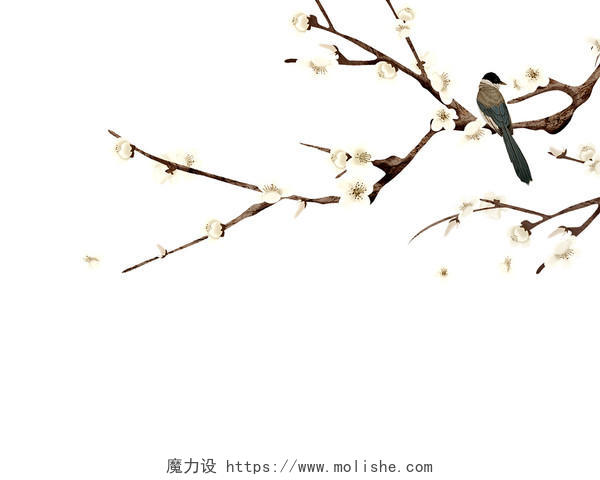 白色简约春天春分春季桃花树枝惊蛰元素PNG素材